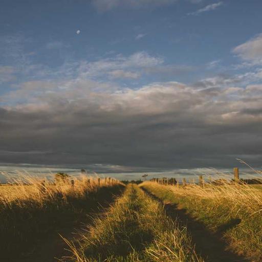 Dampak AI terhadap Dunia Pendidikan dan Pembelajaran Adaptif