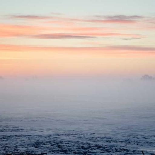 Maret Awal Musim Baru dan Semangat Kehidupan